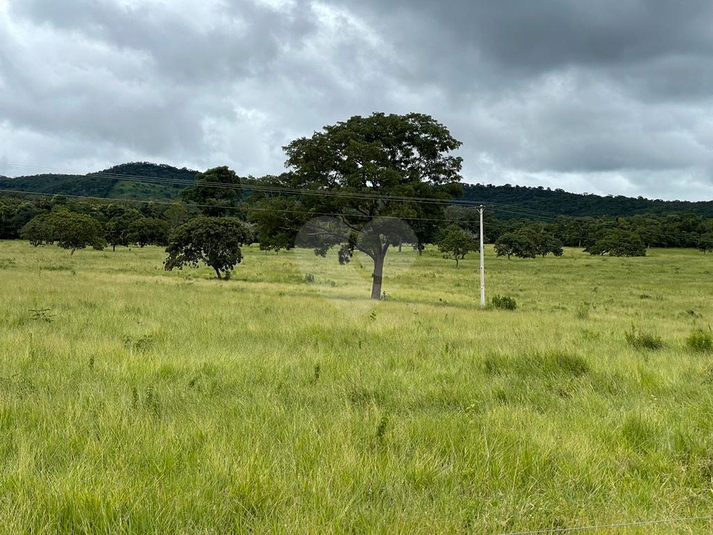 Foto REO1121435