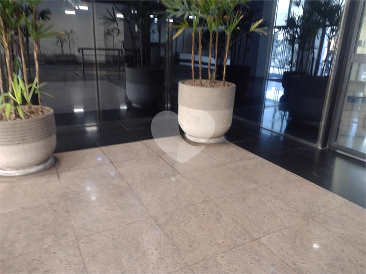 Foto REO1121448