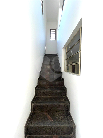 Foto REO1121461
