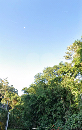 Foto REO1121462