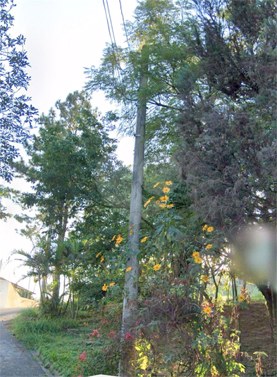 Foto REO1121462