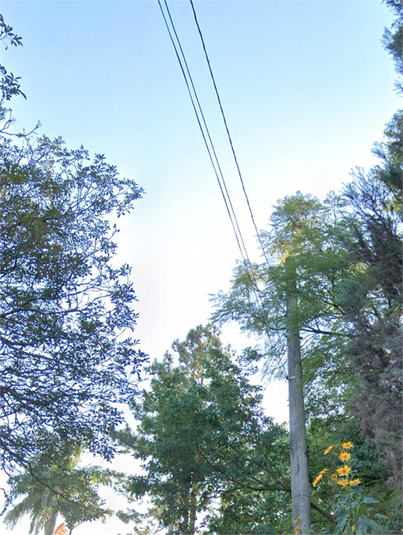 Foto REO1121462