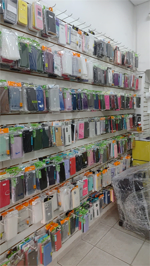 Foto REO1121466