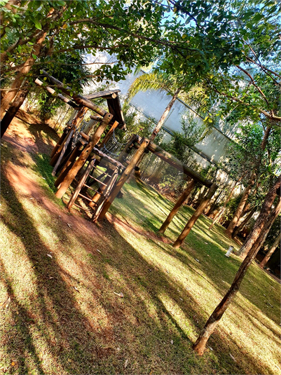 Foto REO1121497