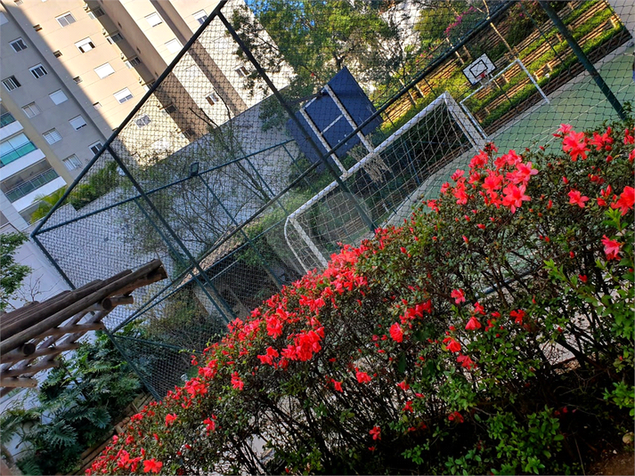 Foto REO1121497