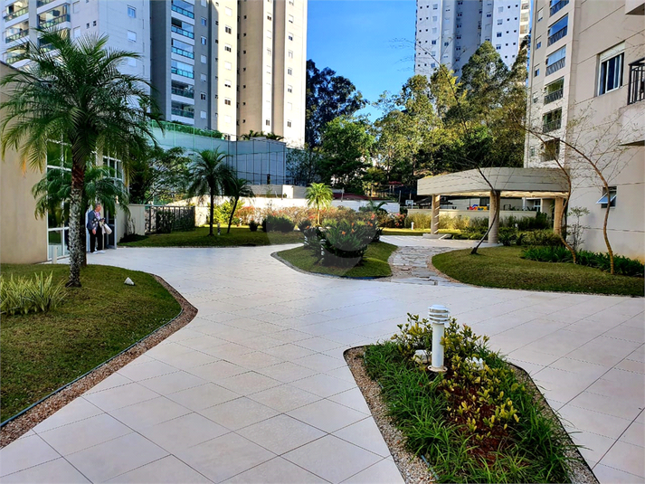 Foto REO1121497
