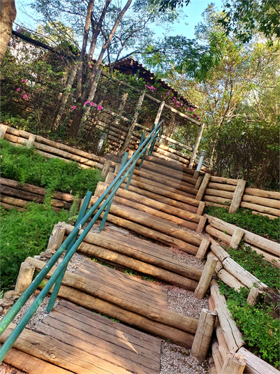 Foto REO1121497