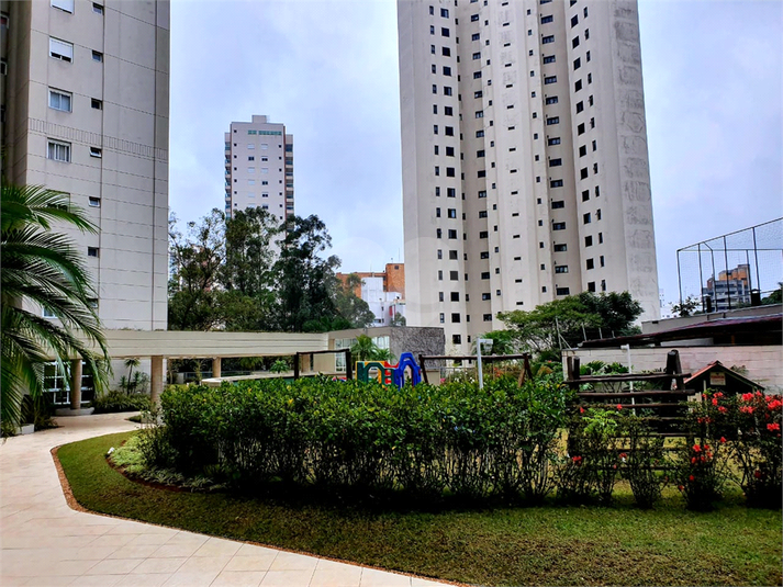 Foto REO1121497