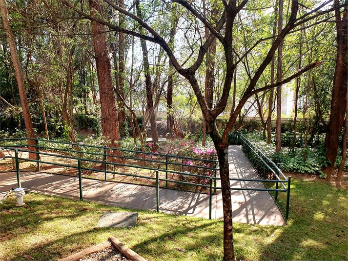 Foto REO1121497