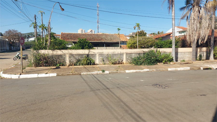 Foto REO1121504