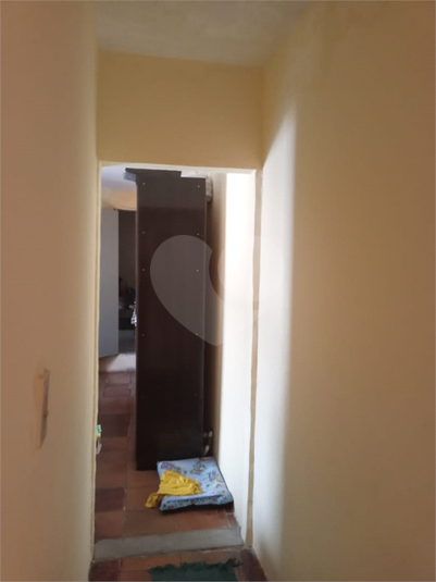 Foto REO1121509