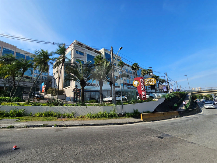 Foto REO1121541