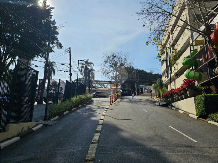 Foto REO1121541