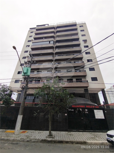 Foto REO1121550