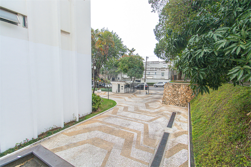 Foto REO1121553