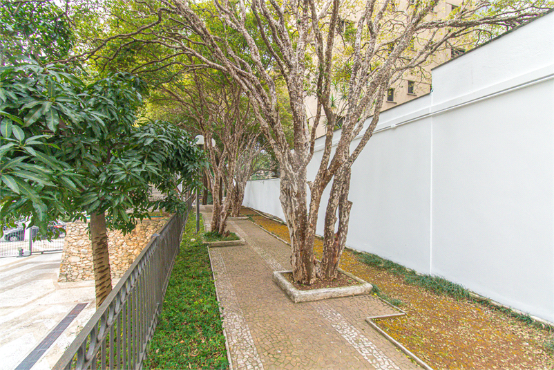 Foto REO1121553