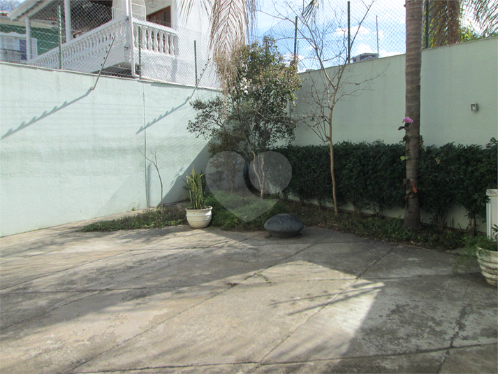 Foto REO1121564