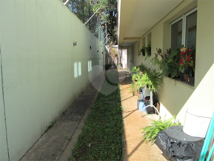 Foto REO1121564