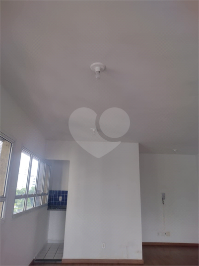 Foto REO1121589