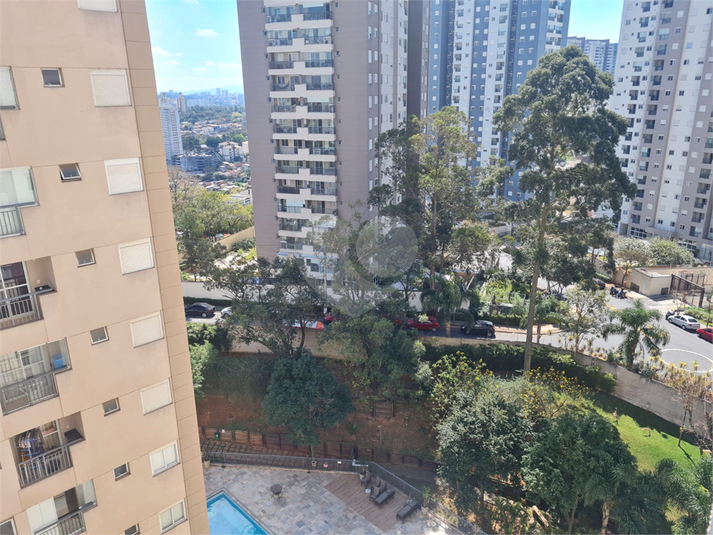 Foto REO1121603