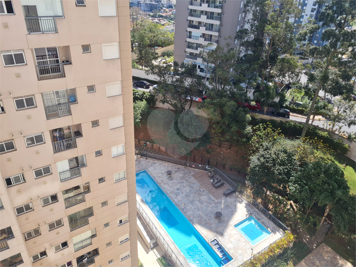 Foto REO1121603