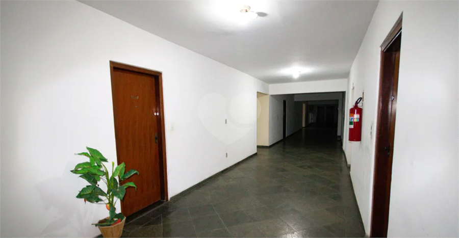 Elevador 