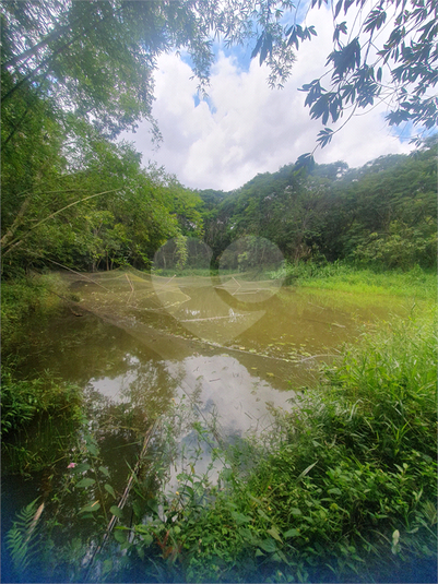 Foto REO1121632