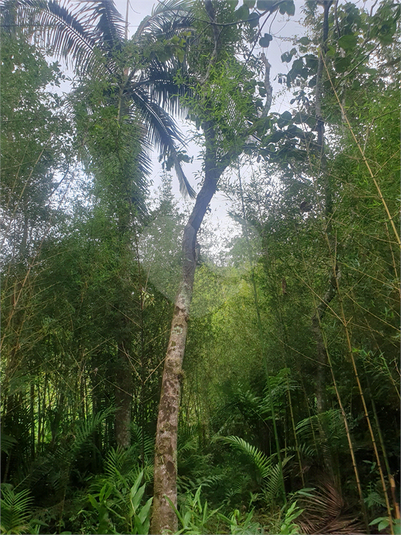 Foto REO1121632