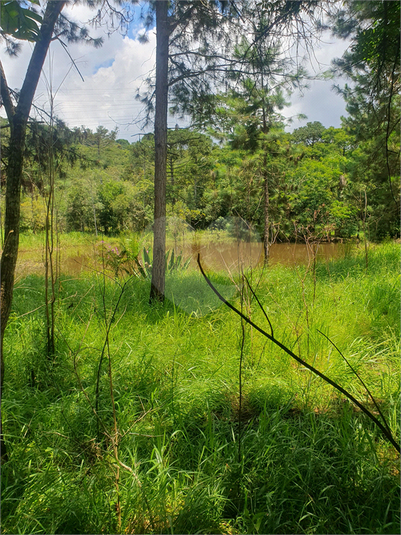 Foto REO1121632