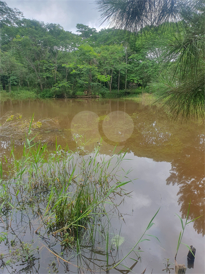 Foto REO1121632