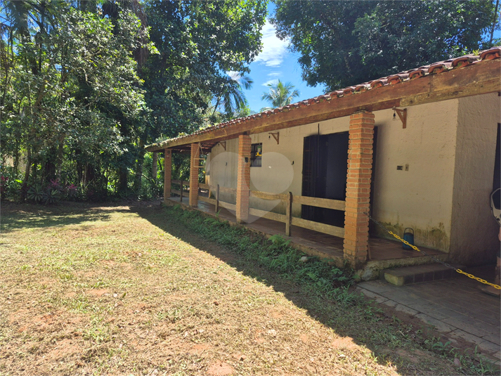 Foto REO1121640
