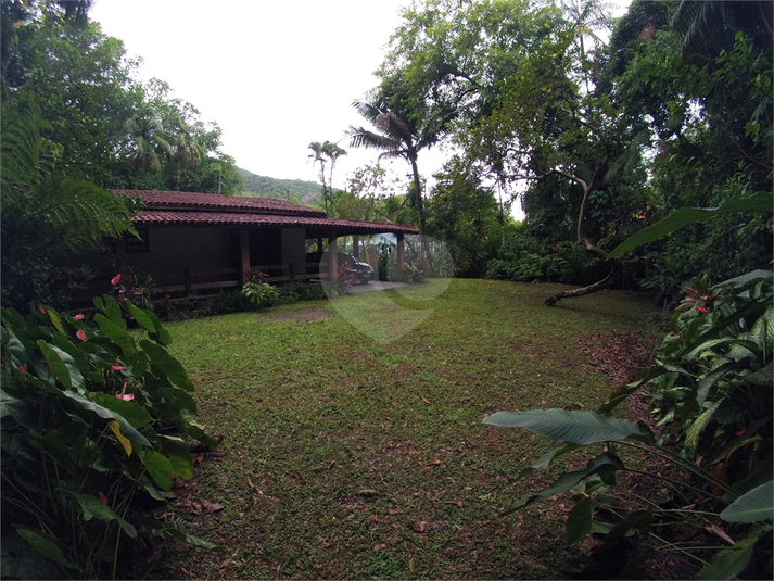 Foto REO1121640