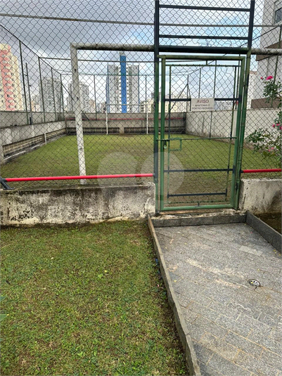 Foto REO1121653