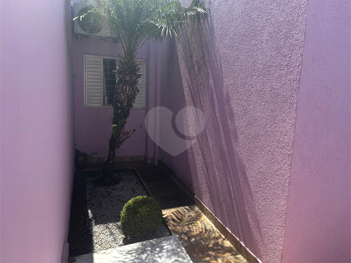 Foto REO1121654