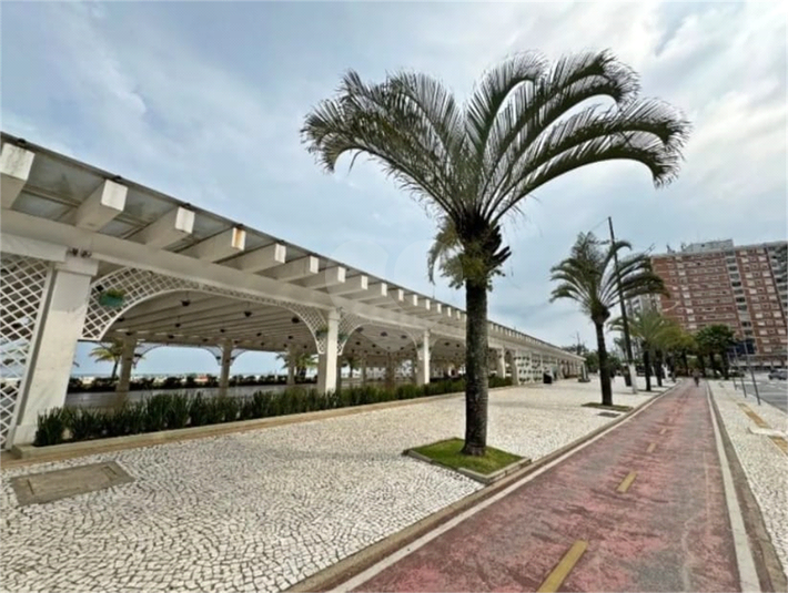 Foto REO1121659