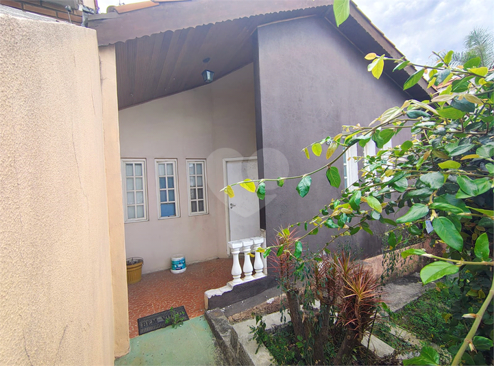 Foto REO1121662