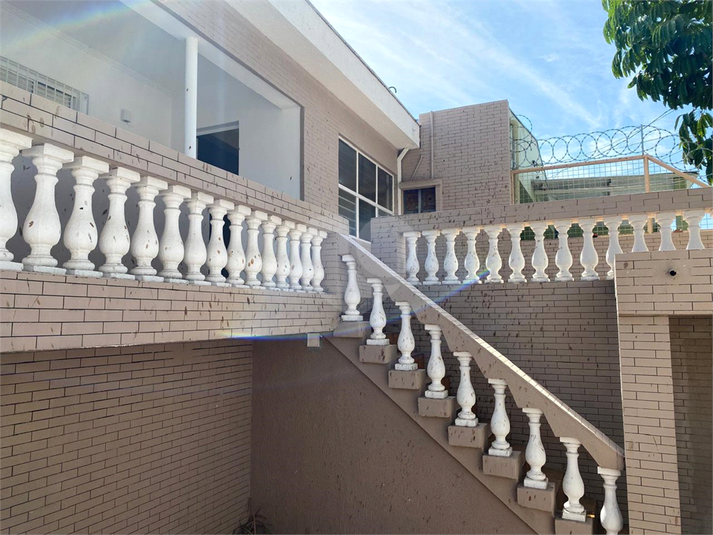 Foto REO1121667
