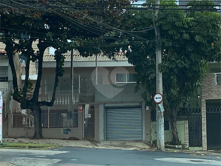 Foto REO1121667