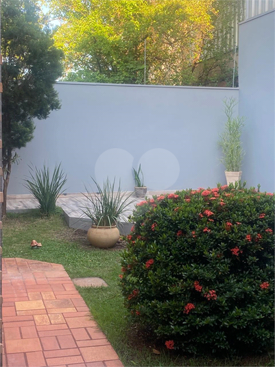 Foto REO1121671