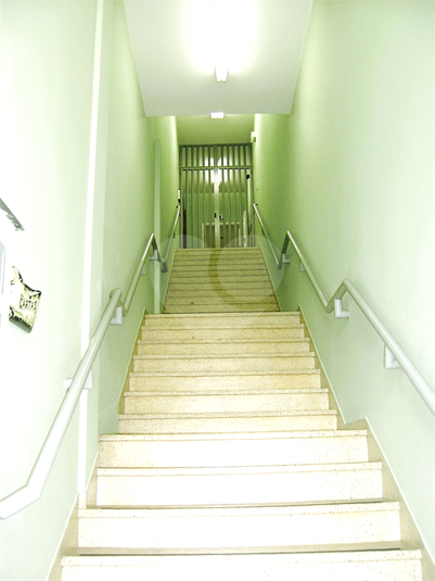Foto REO1121672