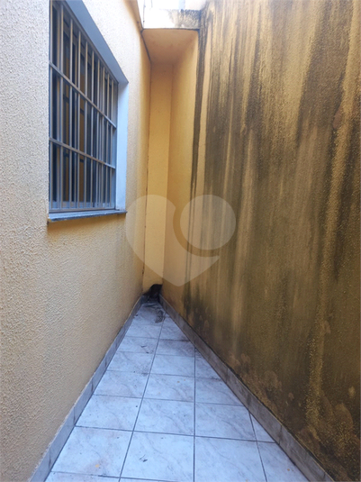 Foto REO1121676
