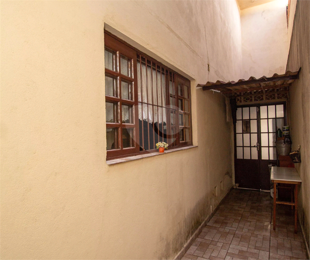 Foto REO1121691