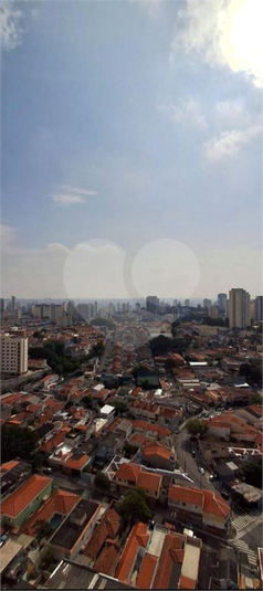 Foto REO1121694