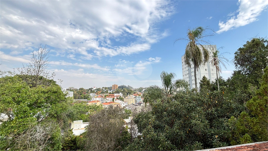 Foto REO1121699