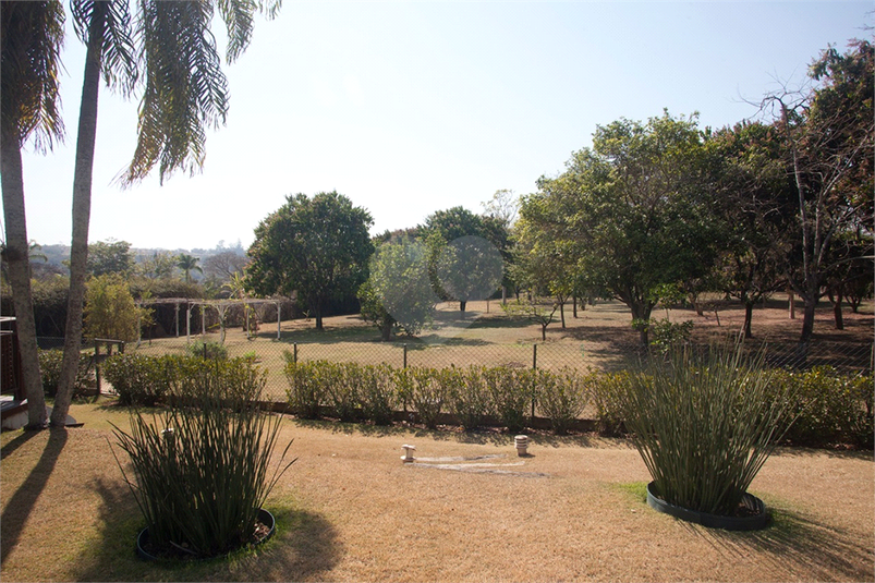 Foto REO1121745