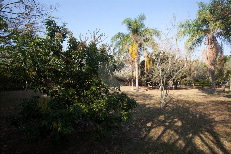 Foto REO1121745