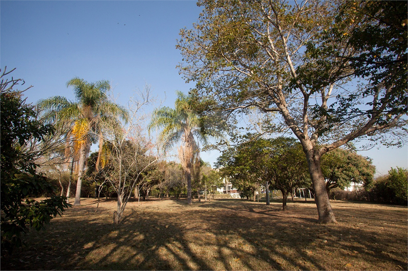 Foto REO1121745