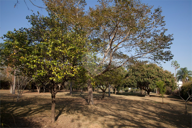 Foto REO1121745
