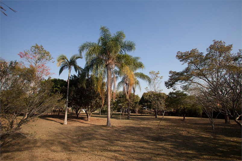 Foto REO1121745