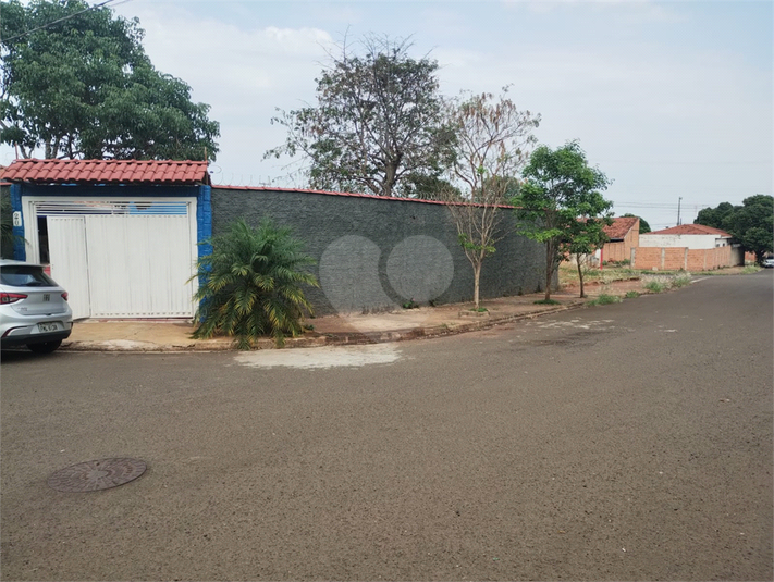 Foto REO1121754
